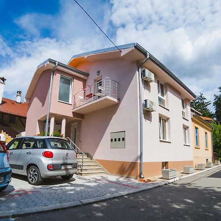 Apartmani "Stefanovic" Сокобаня Экстерьер фото